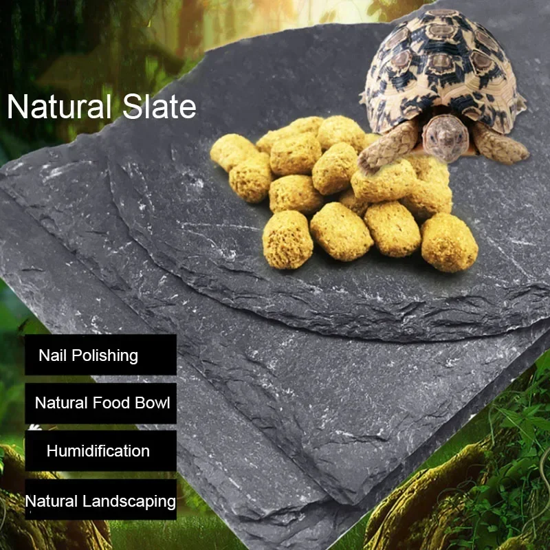 Aquarium Fish Pot - Natürliche Schiefer Aquarium Haustier Reptilien Feeder