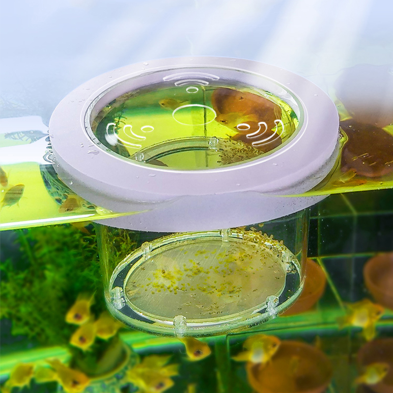 Aquarium Fish And Supplies - Ausgesetzt Aquarium Zucht Isolation Box Transparent