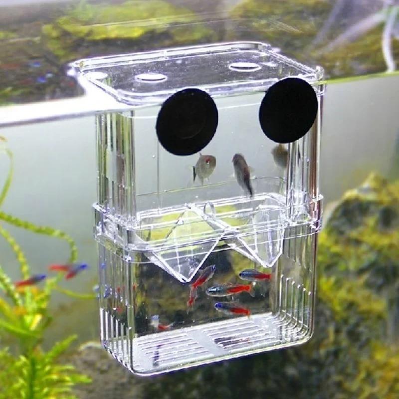 Aquarium Fish And Supplies - Transparente Fisch Aquarium Hohe Klare Zucht