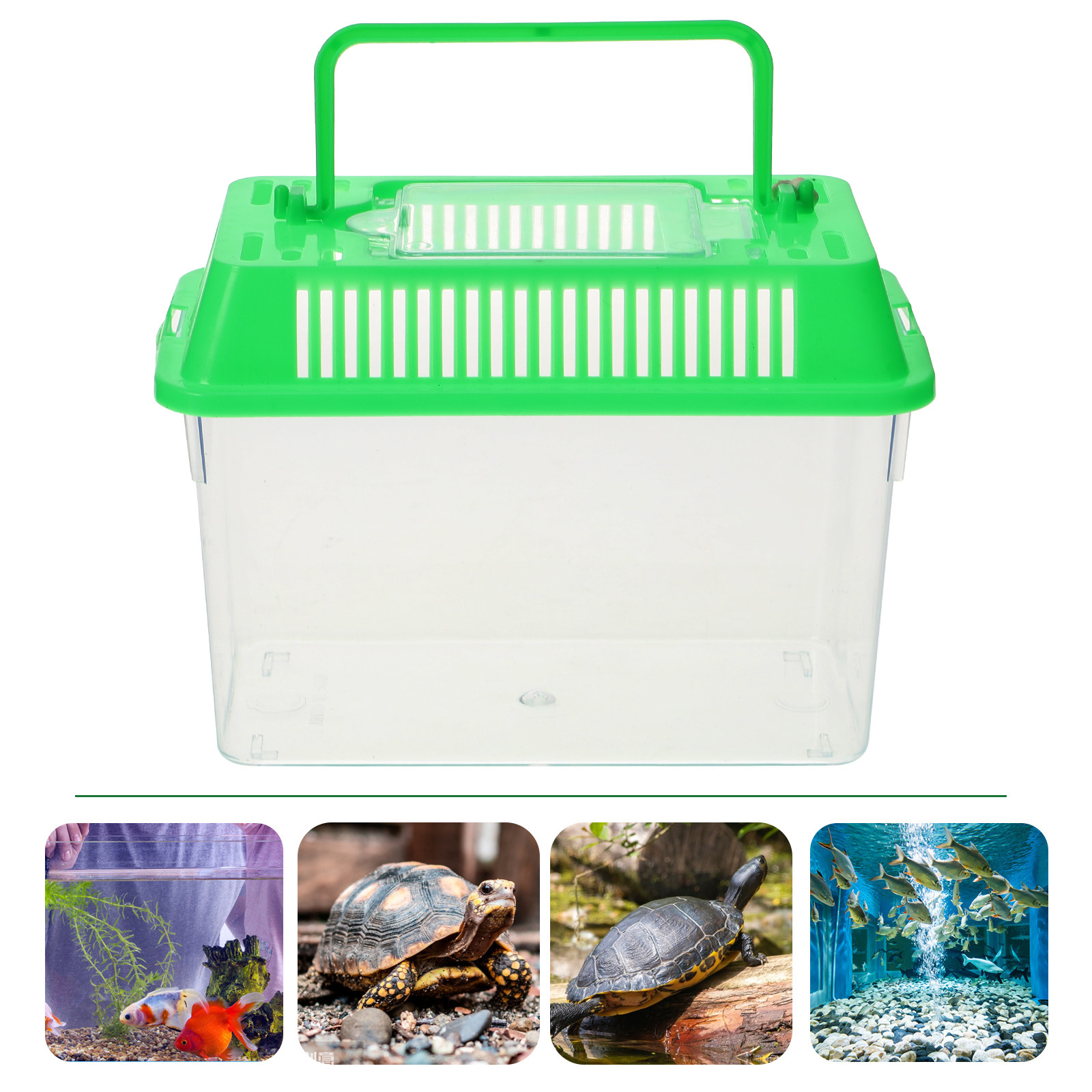Aquarium Fish Goldfish - Tragbares Mini-Aquarium aus Kunststoff, transparent, für