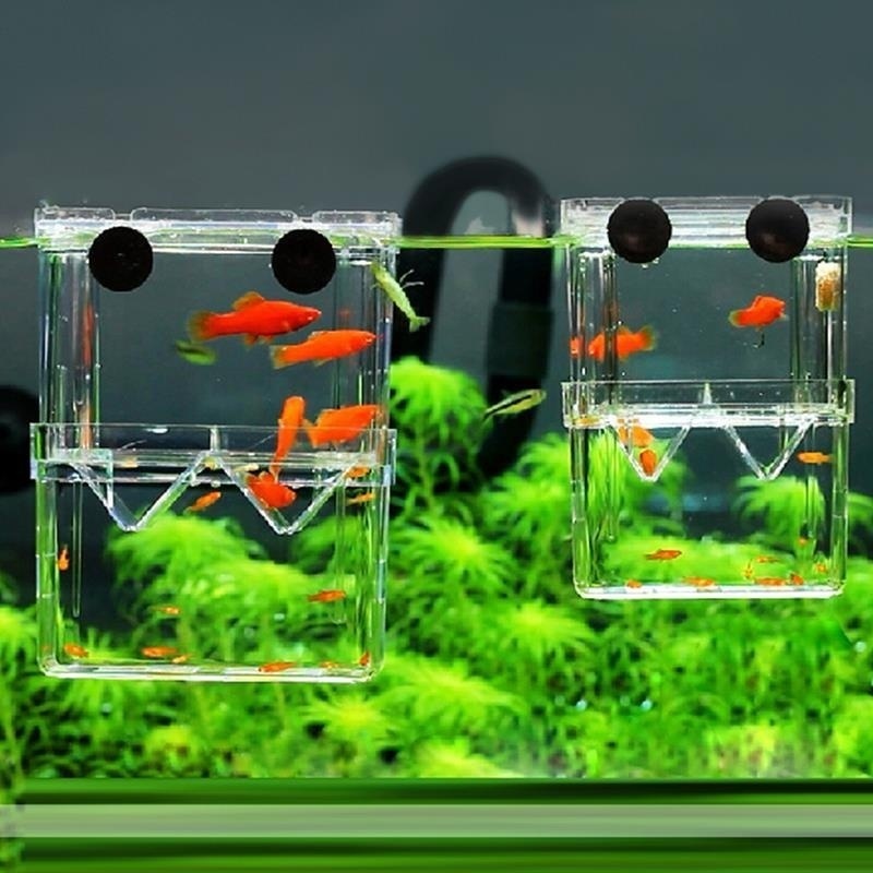 Aquarium Fish Cave - Multifunktionale Fisch Aquarium Hohe Klare Fische