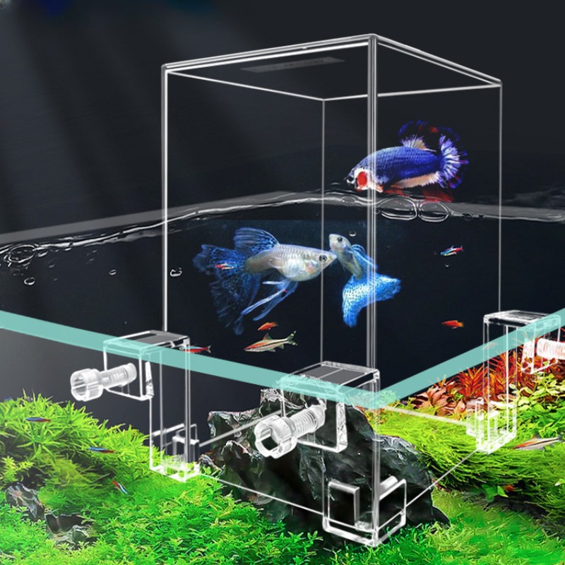 Aquarium Fish Pot - Kreative Aquarien Tanks Unterdruck Aquarium ökologische