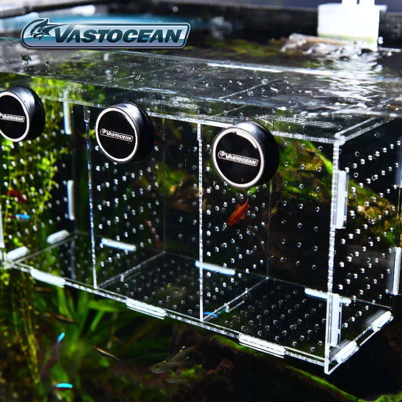 VASTOCEAN Aquarium Magnetische – Aquarium Fish Cave Bewertung und Preis