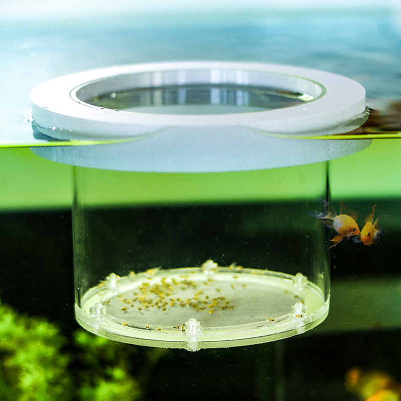 Ausgesetzt Aquarium Zucht Isol – Aquarium Fish And Supplies Bewertung und Preis