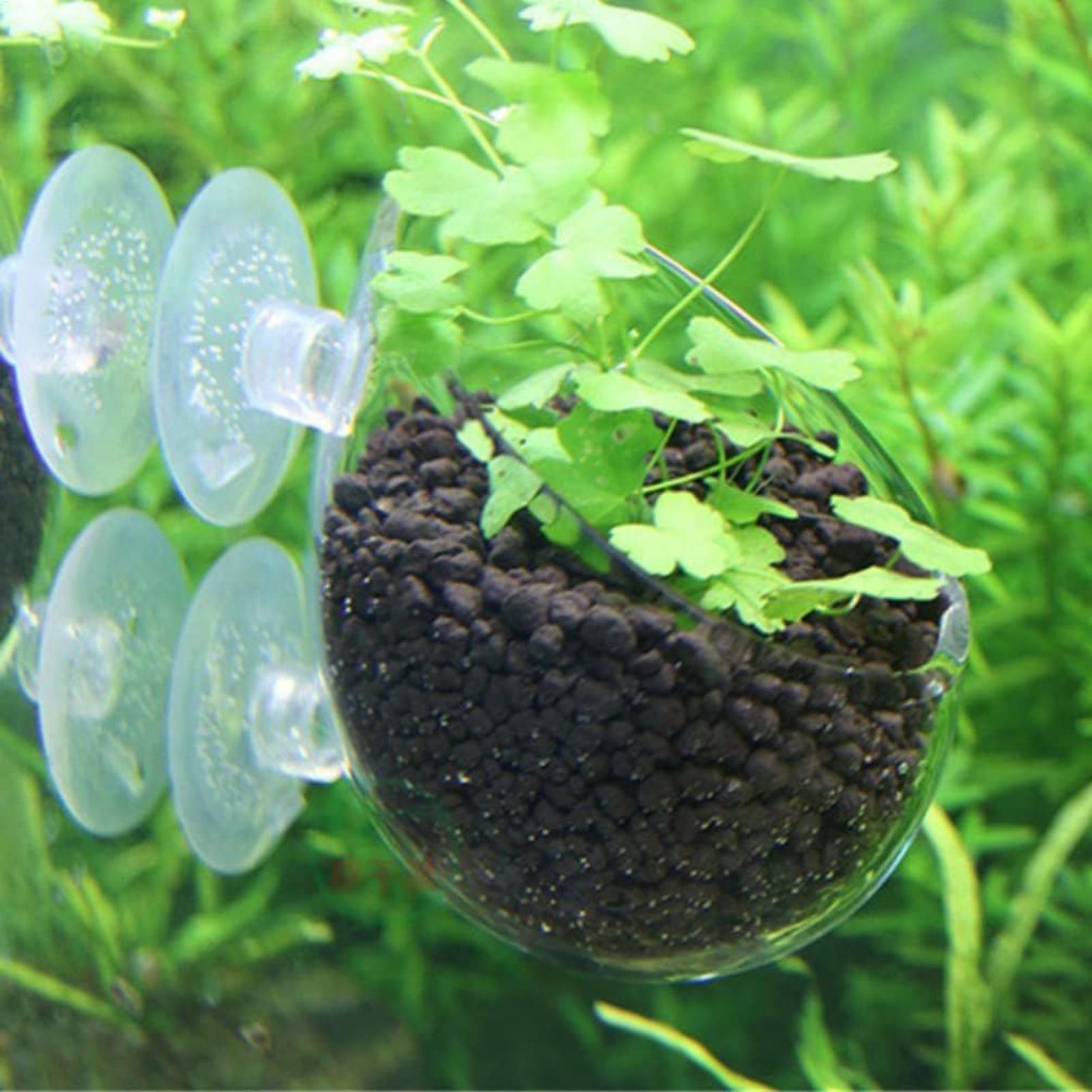 Aquarium-Pflanzenhalter Glas-W – Aquarium Fish Pot Bewertung und Preis
