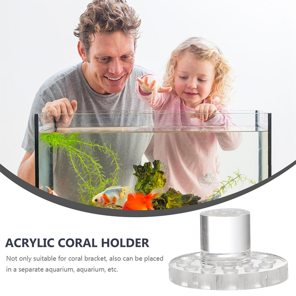 10 Stück Acryl-Korallenhalteru – Aquarium Fish And Supplies Bewertung und Preis