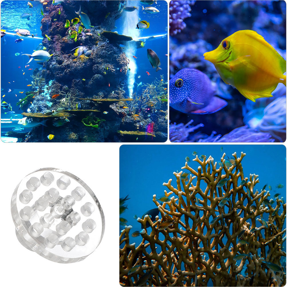 10 Stück Acryl-Korallenhalteru – Aquarium Fish And Supplies Bewertung und Preis