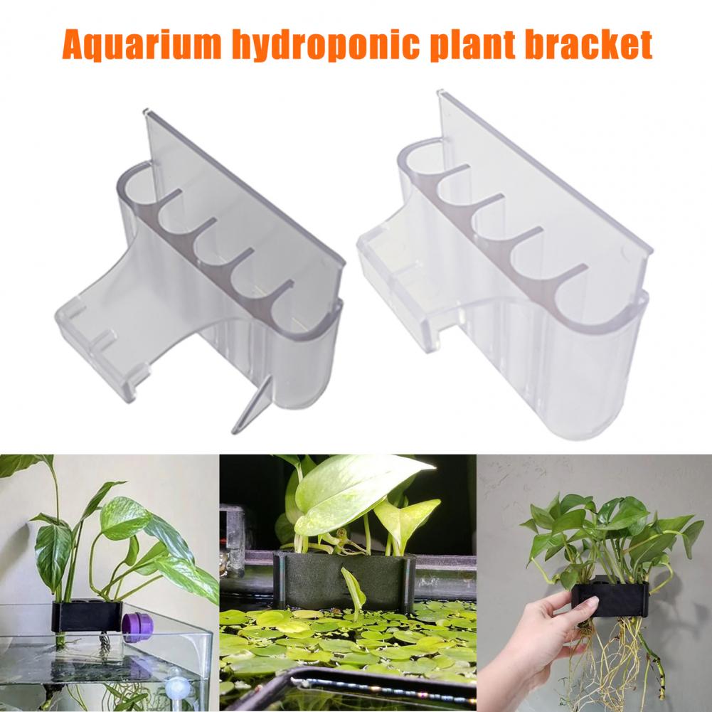 4,5/6,5 cm Aquarium Pflanzenha – Aquarium Fish Pot Bewertung und Preis