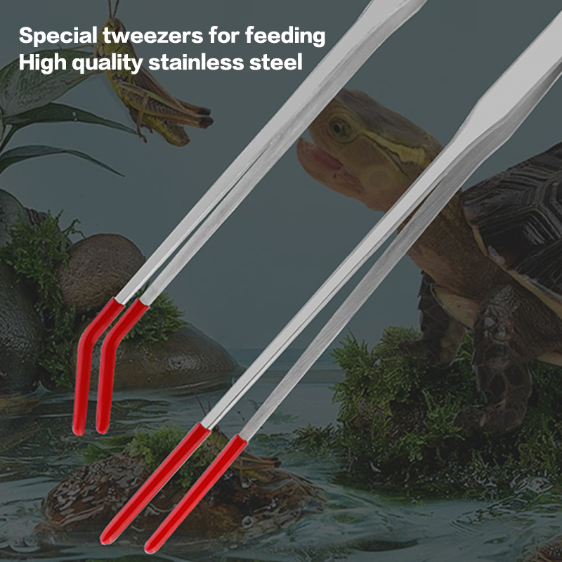 Edelstahl-Wartungswerkzeuge fü – Aquarium Fish Items Bewertung und Preis
