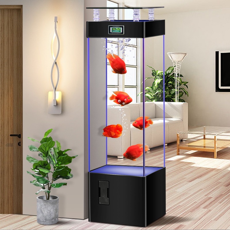 Ultraklarer Glasfischtank, kei – Aquarium Fish Goldfish Bewertung und Preis