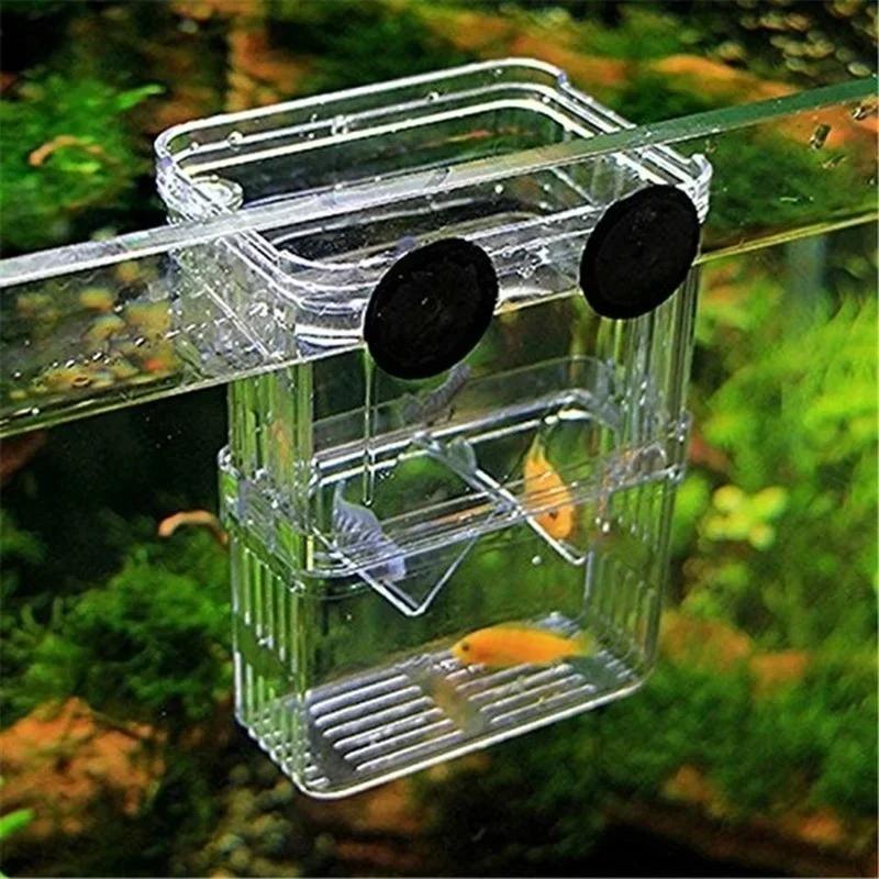 Transparente Fisch Aquarium Ho – Aquarium Fish And Supplies Bewertung und Preis