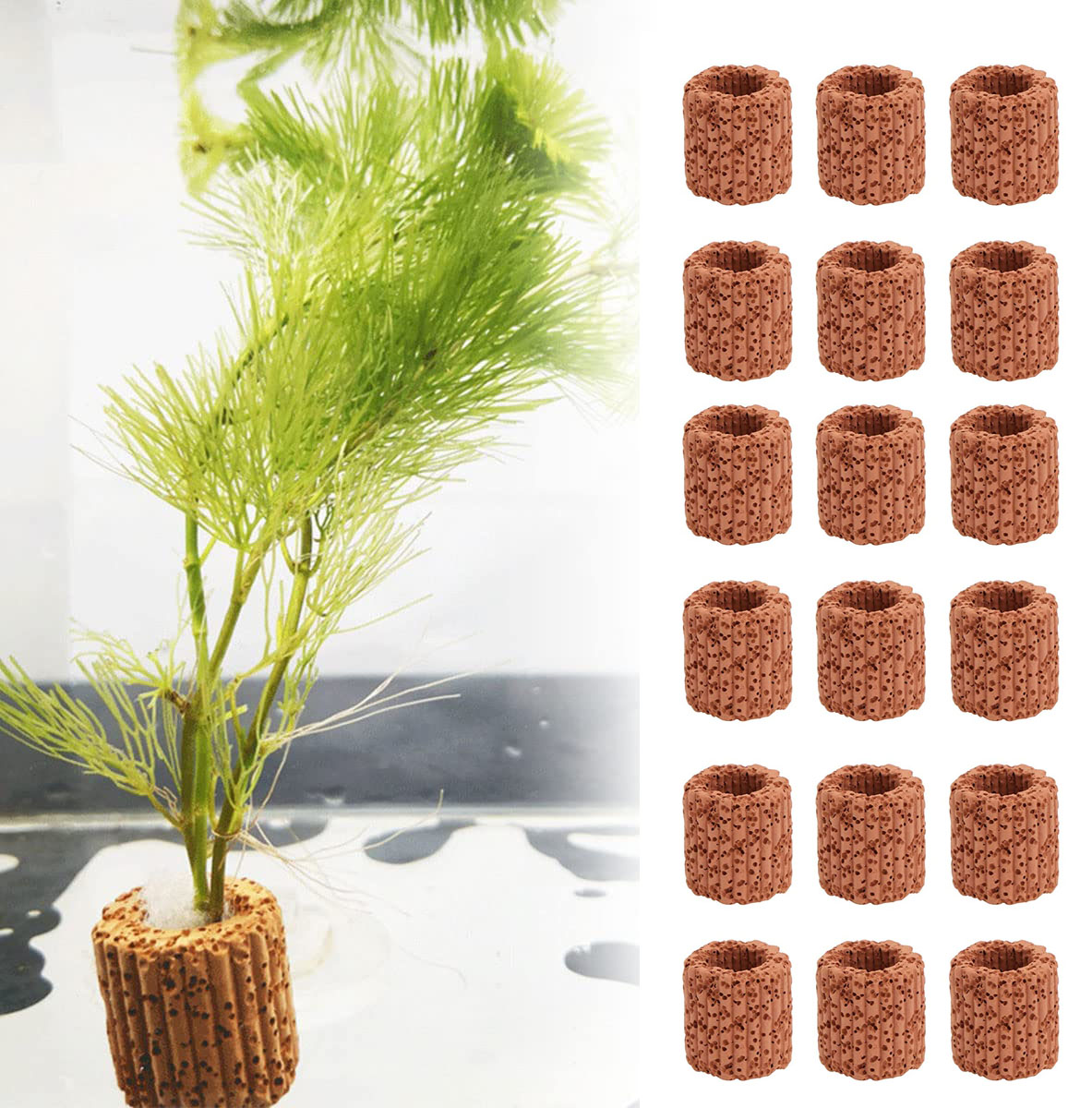 10/20pcs Wasser wasser pflanze – Aquarium Fish Pot Bewertung und Preis