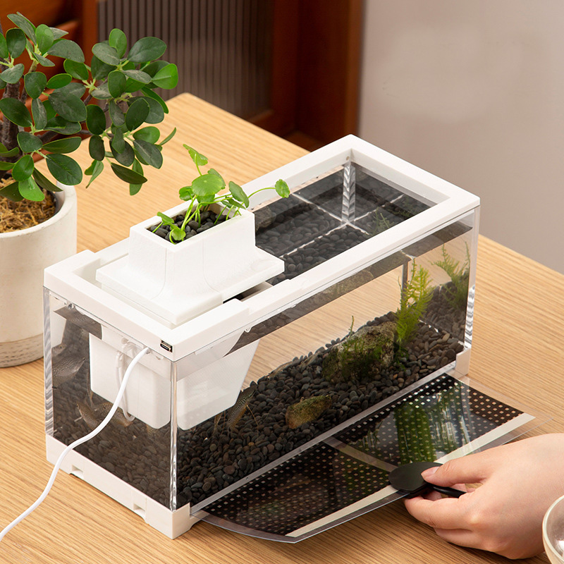 Aquarium-Komplettsets mit Wass – Aquarium Fish Goldfish Bewertung und Preis