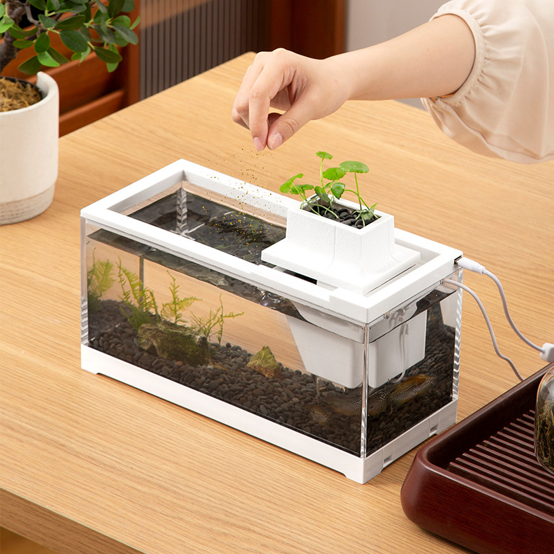 Aquarium-Komplettsets mit Wass – Aquarium Fish Goldfish Bewertung und Preis