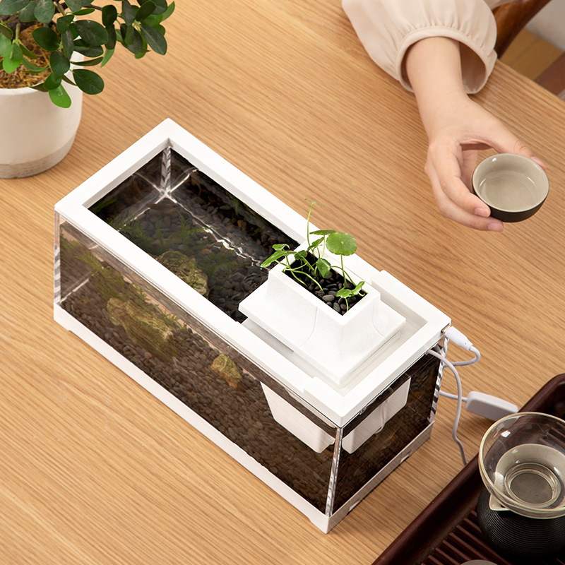 Aquarium-Komplettsets mit Wass – Aquarium Fish Goldfish Bewertung und Preis