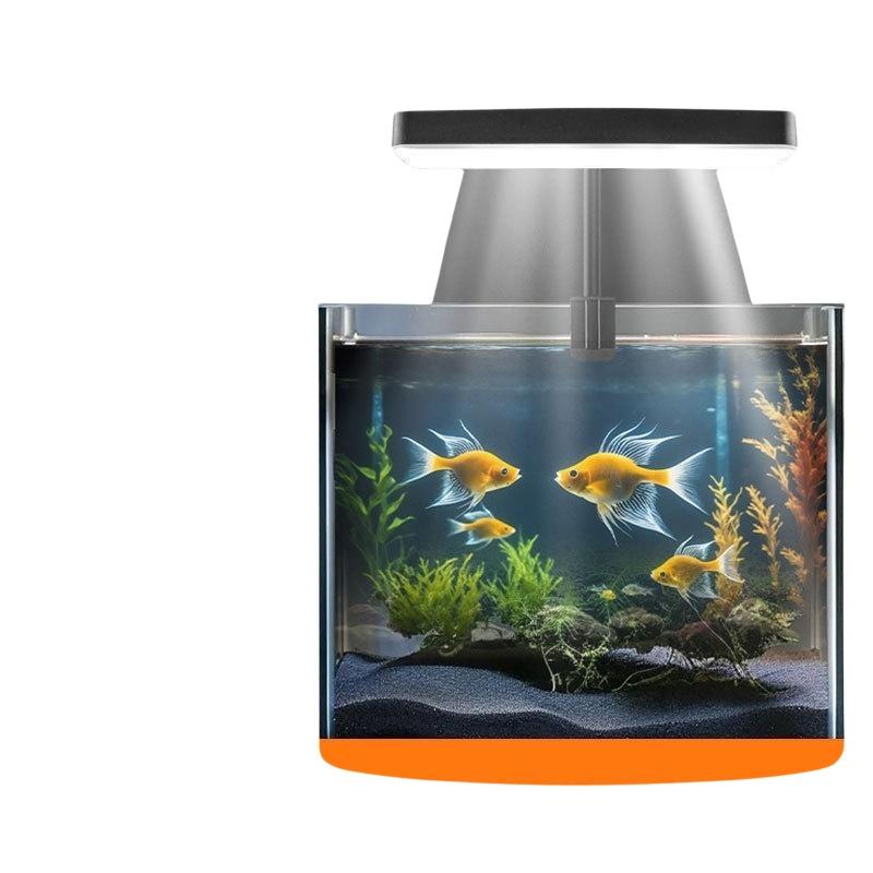 USB-Aquarium-Clipleuchte mit F – Aquarium Fish Usa Bewertung und Preis