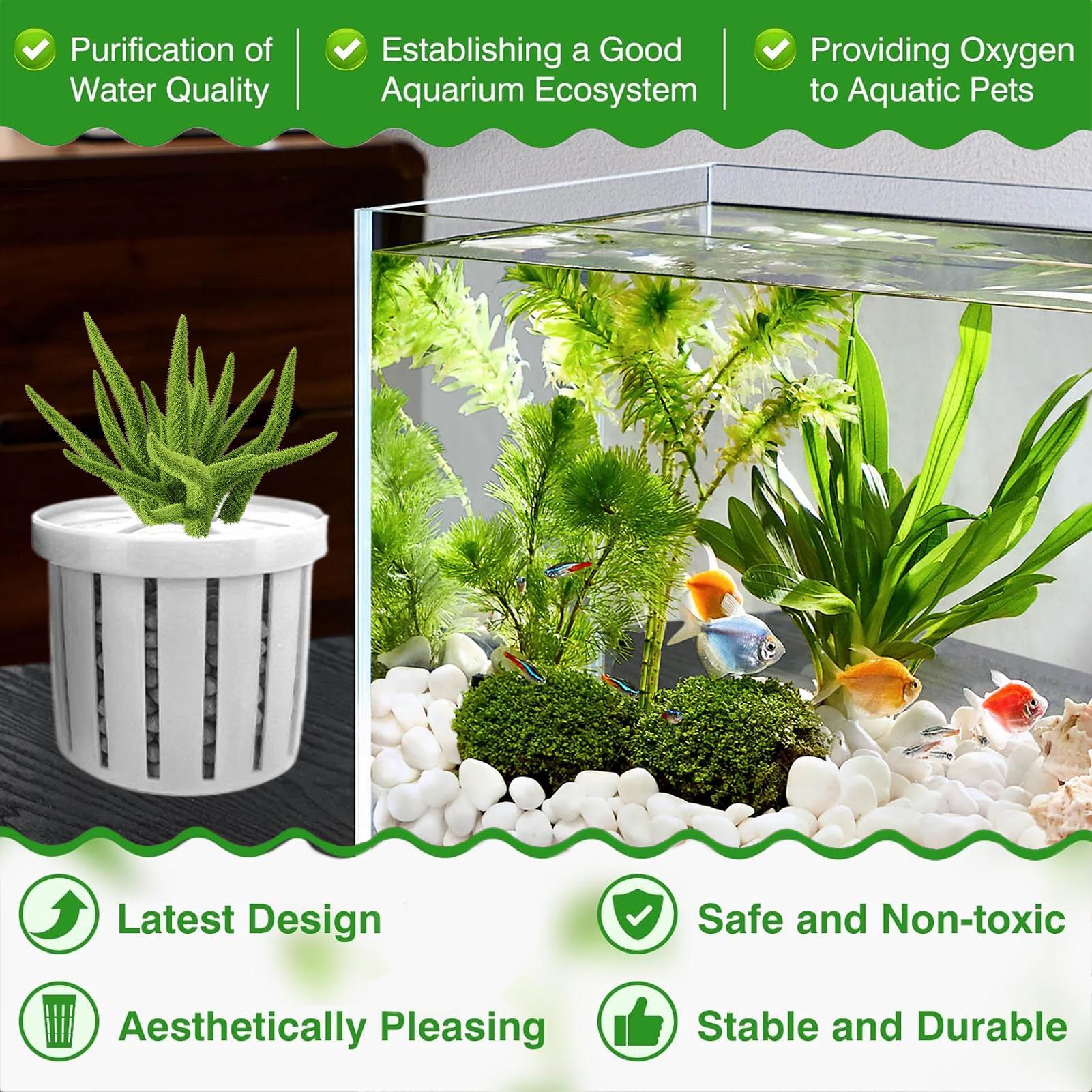 4-teiliger Aquarium-Pflanztopf – Aquarium Fish Pot Bewertung und Preis