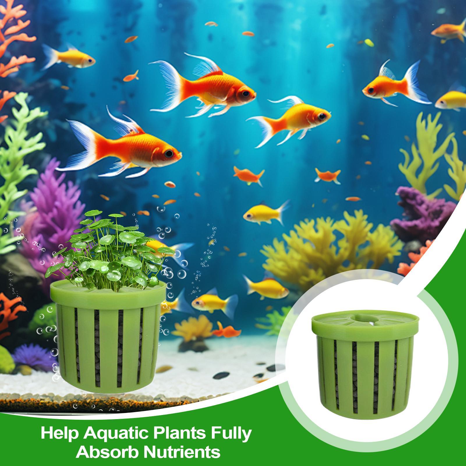 4-teiliger Aquarium-Pflanztopf – Aquarium Fish Pot Bewertung und Preis