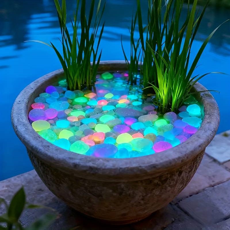 200 Stück im Dunkeln leuchtend – Aquarium Fish Glow In The Dark Bewertung und Preis