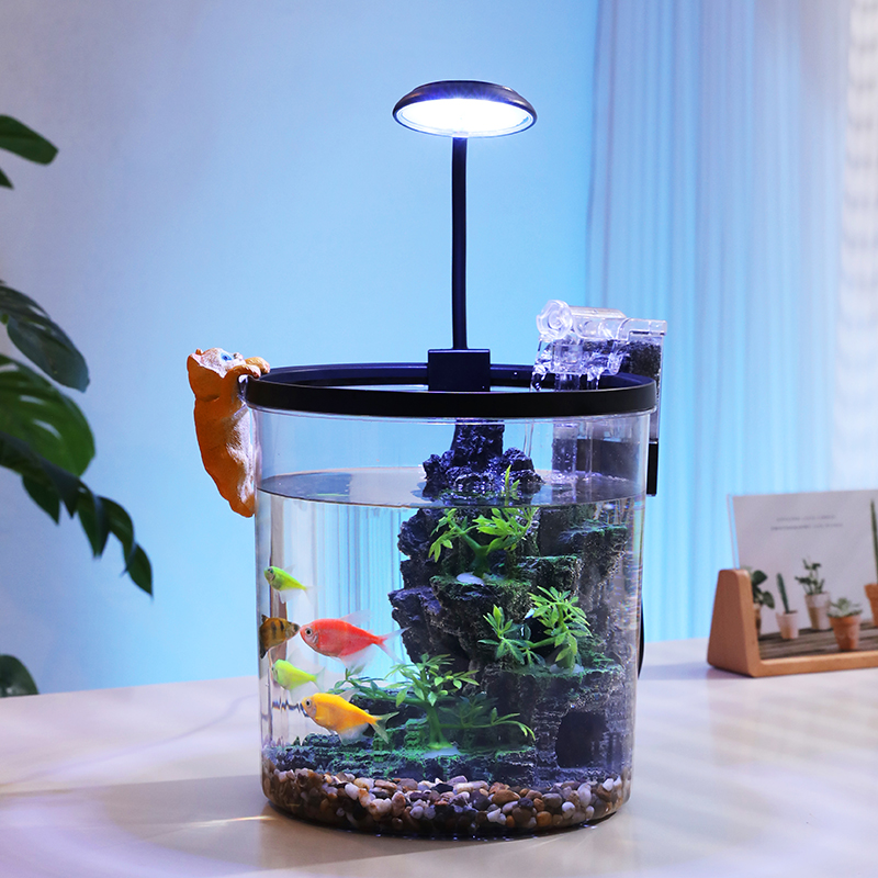 Kompakte runde Goldfischschale – Aquarium Fish Goldfish Bewertung und Preis
