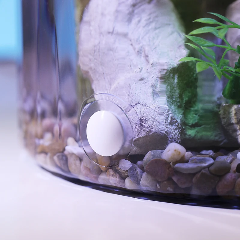 Kompakte runde Goldfischschale – Aquarium Fish Goldfish Bewertung und Preis