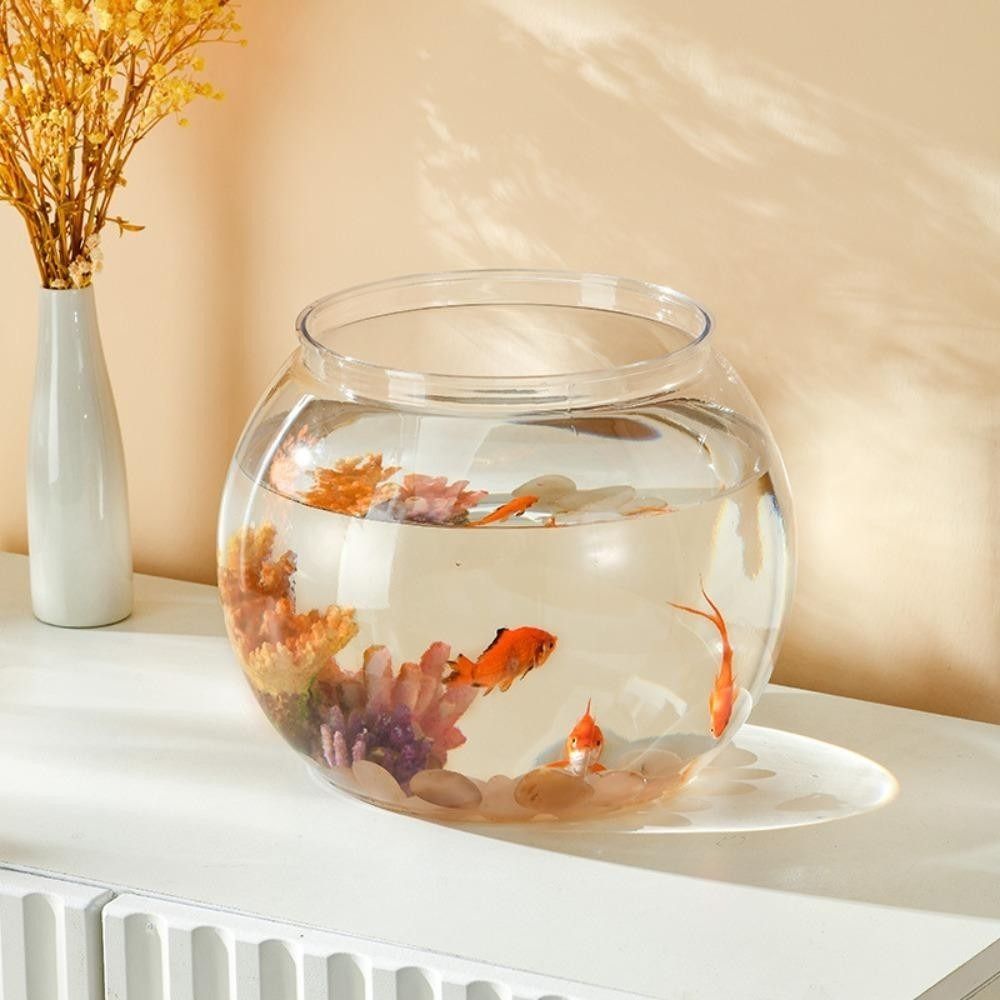 Tragbares Transparentes Fischb – Aquarium Fish Goldfish Bewertung und Preis