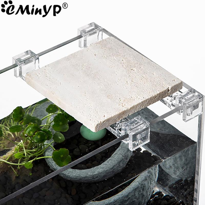 4Pcs Aquarium Acryl Clips für  – Aquarium Fish And Supplies Bewertung und Preis