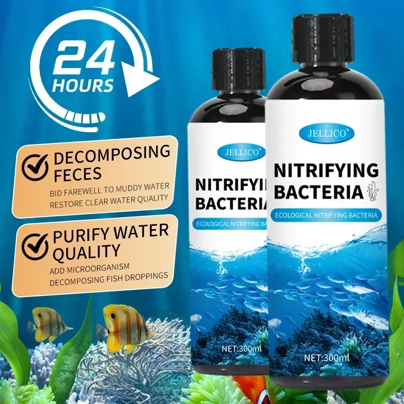 300 ml Nitrifizierende Bakteri – Aquarium Fish Items Bewertung und Preis