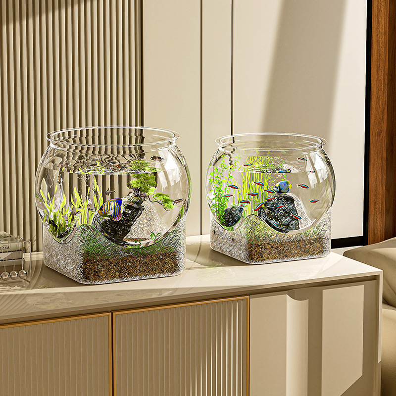 Aquarium-Aquarium, transparent – Aquarium Fish Goldfish Bewertung und Preis