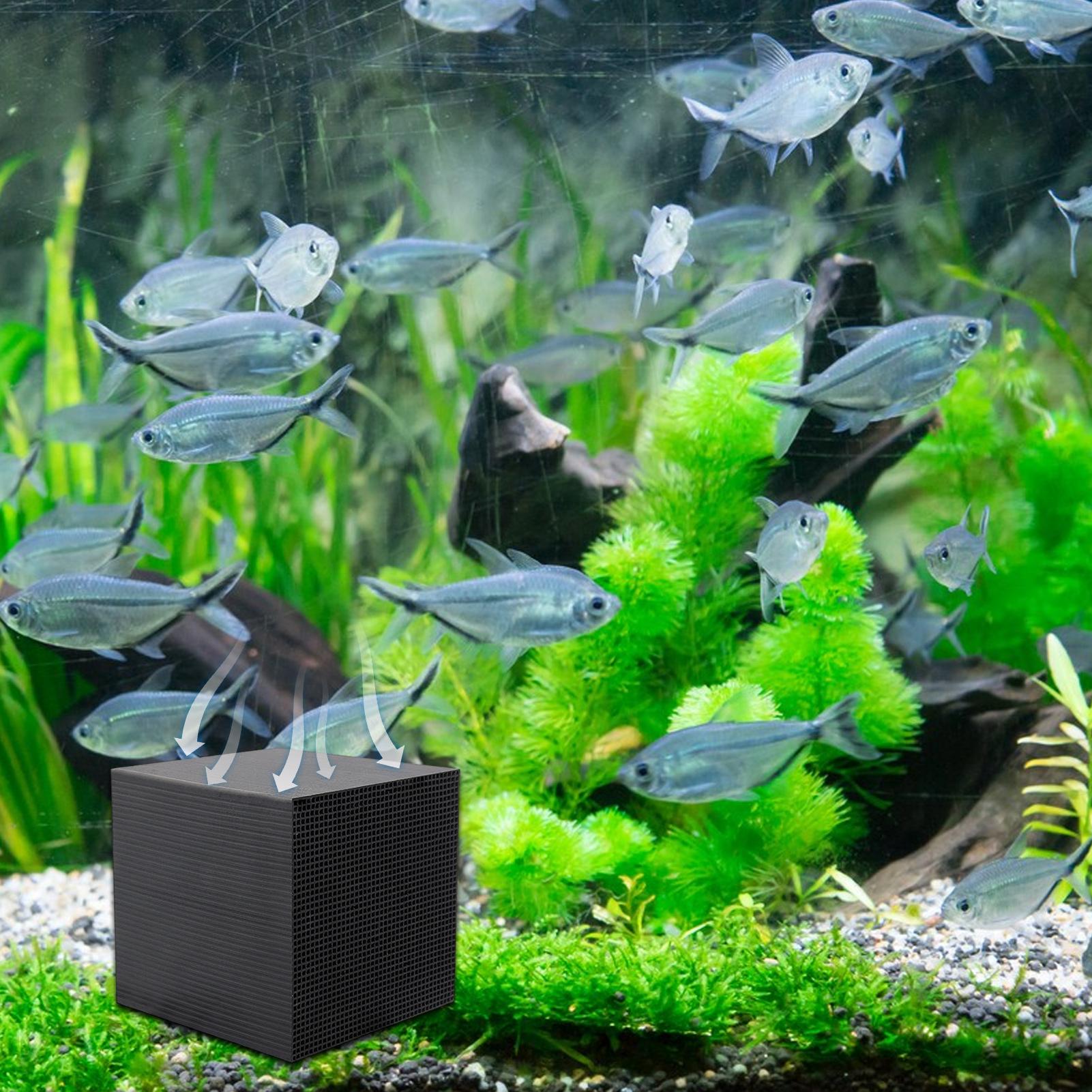 Aquarium Wasserreiniger Würfel – Aquarium Fish Cave Bewertung und Preis