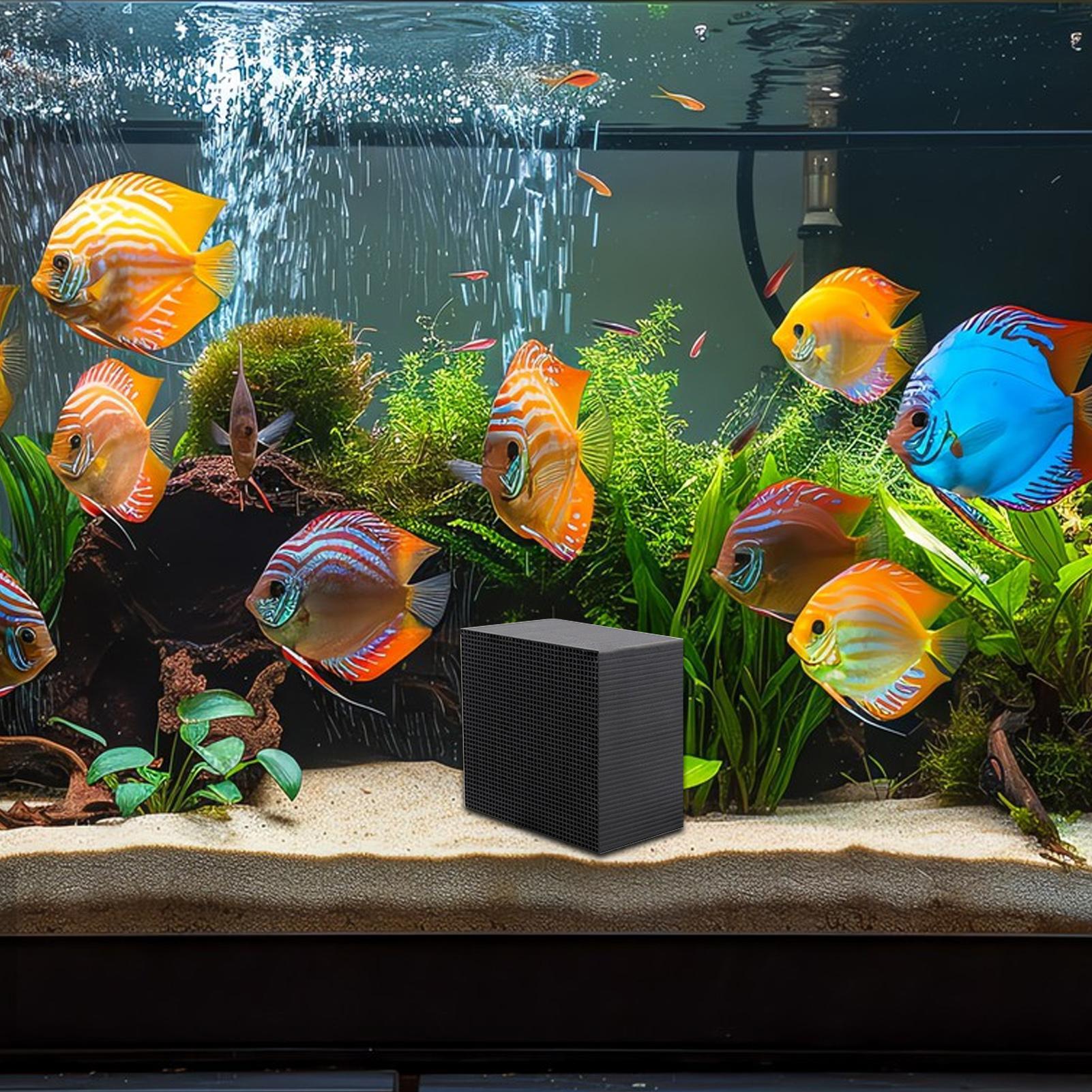 Aquarium Wasserreiniger Würfel – Aquarium Fish Cave Bewertung und Preis