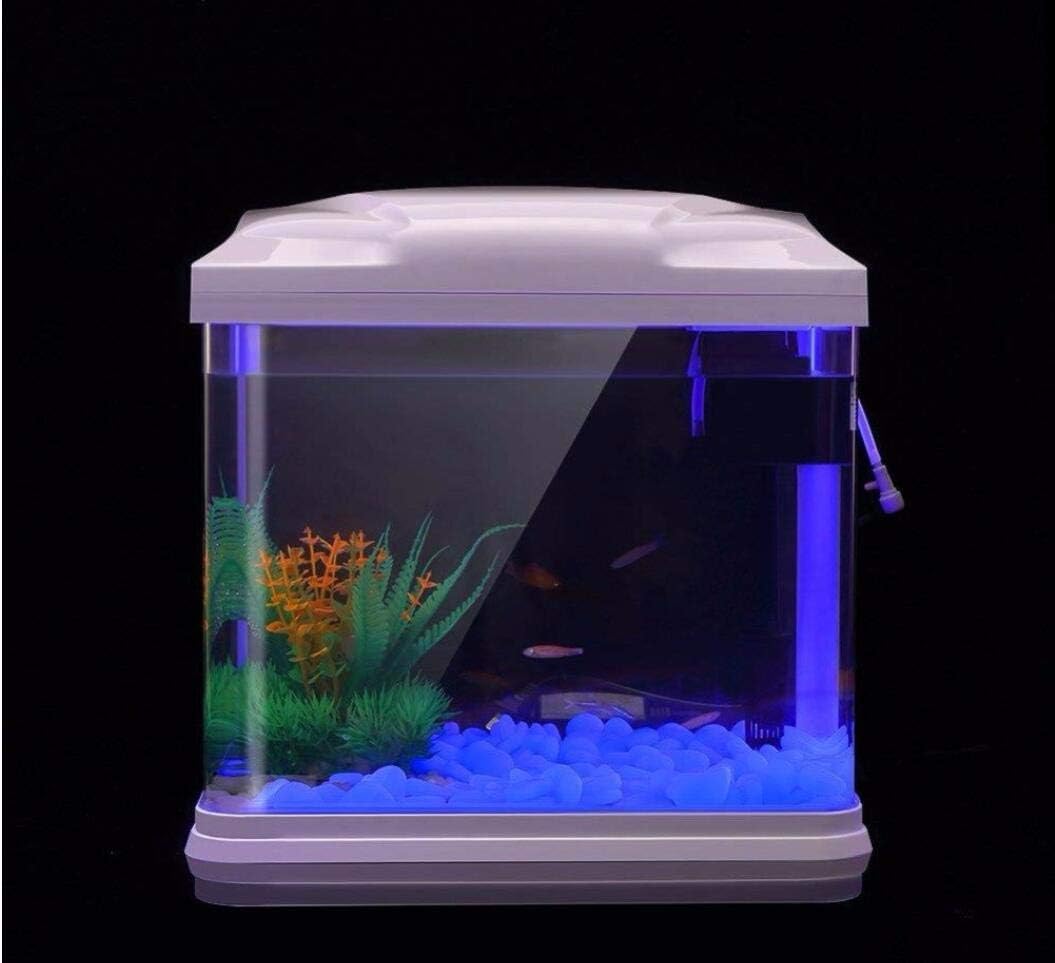 Aquarium-Felsen leuchten blaue – Aquarium Fish Land Bewertung und Preis