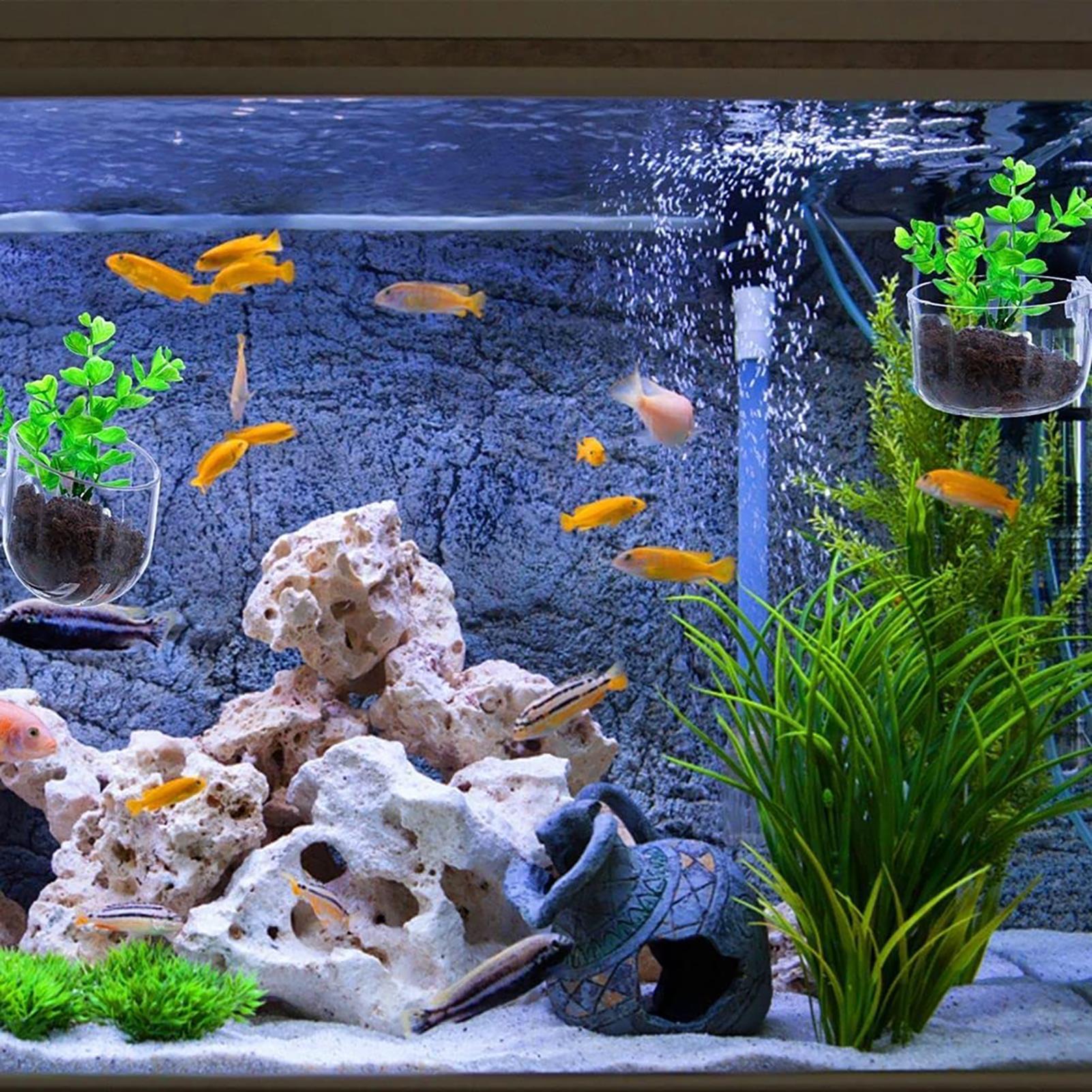 Wasserpflanztopf, transparente – Aquarium Fish Pot Bewertung und Preis