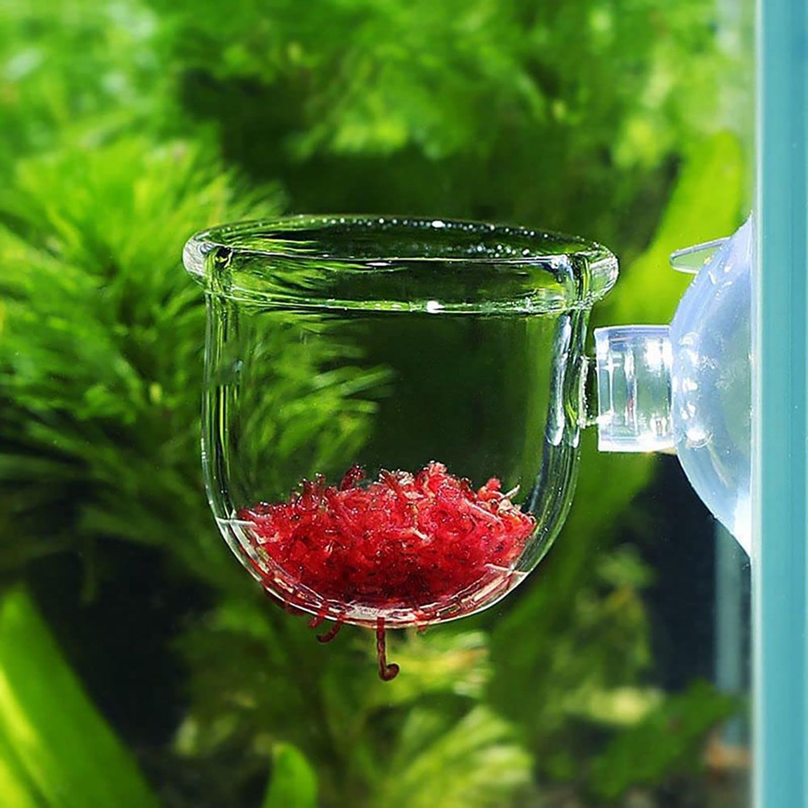 Wasserpflanztopf, transparente – Aquarium Fish Pot Bewertung und Preis