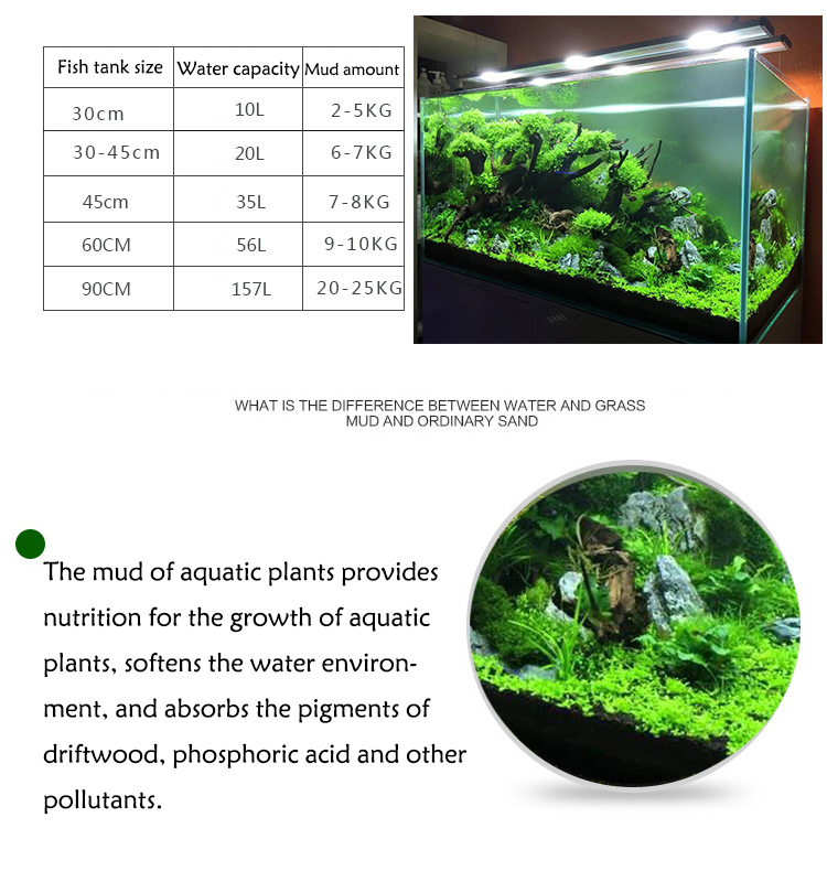 Aquarium Pflanzen Samen Boden  – Aquarium Fish Accessories Bewertung und Preis