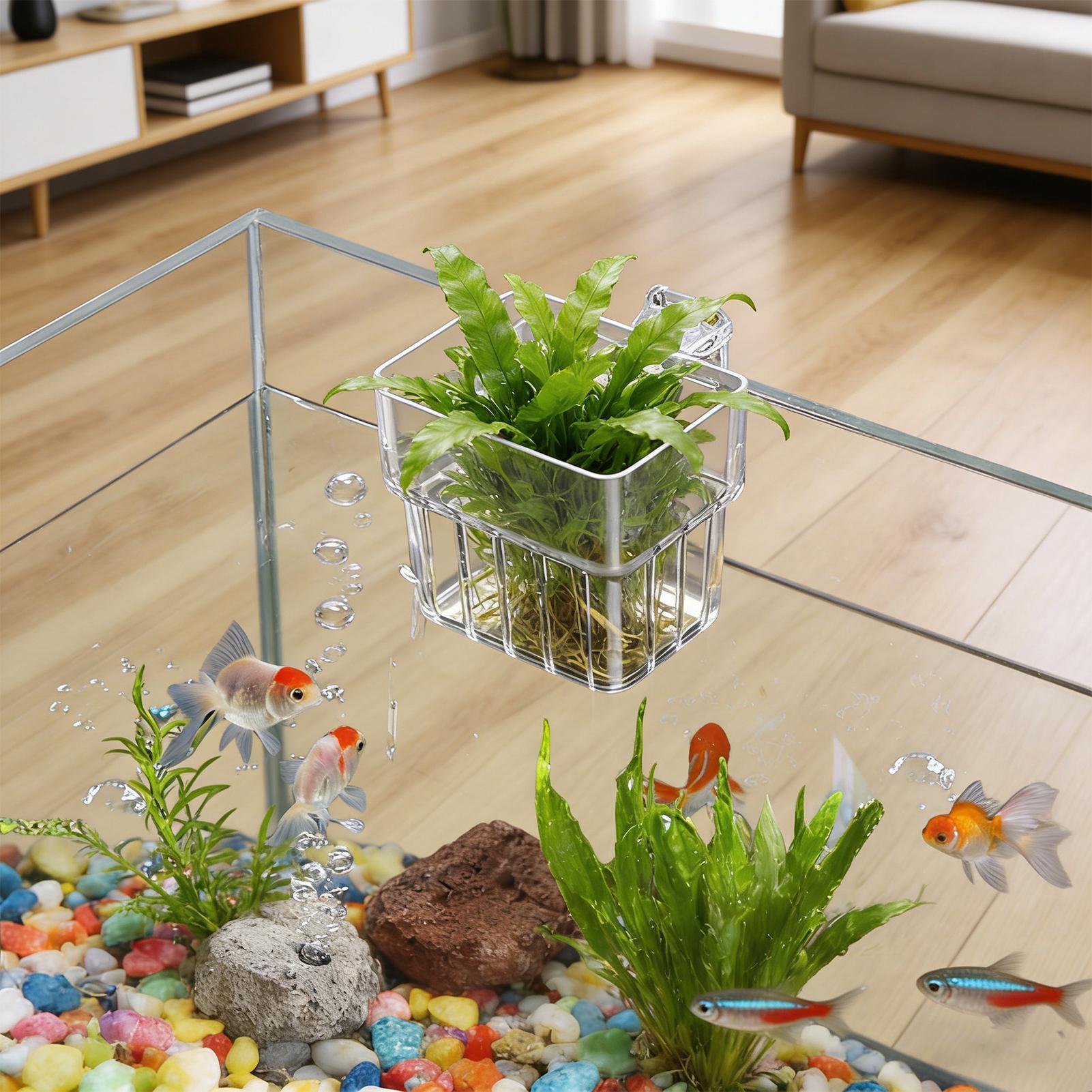 Transparenter Aquarium-Hängeto – Aquarium Fish Pot Bewertung und Preis