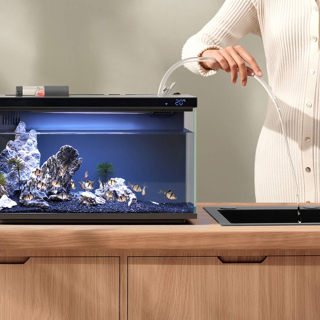 Xiaomi Mijia Smart Fish Tank M – Aquarium Fish App Bewertung und Preis