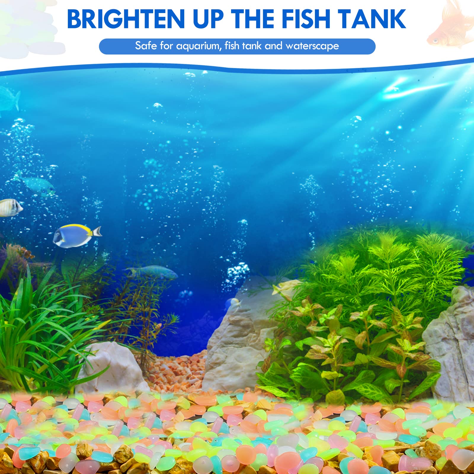 100 Stück im Dunkeln leuchtend – Aquarium Fish Glow In The Dark Bewertung und Preis