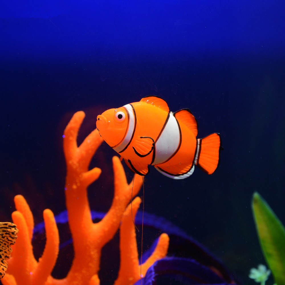 Im Dunkeln Leuchtende Silikon- – Aquarium Fish Glow In The Dark Bewertung und Preis