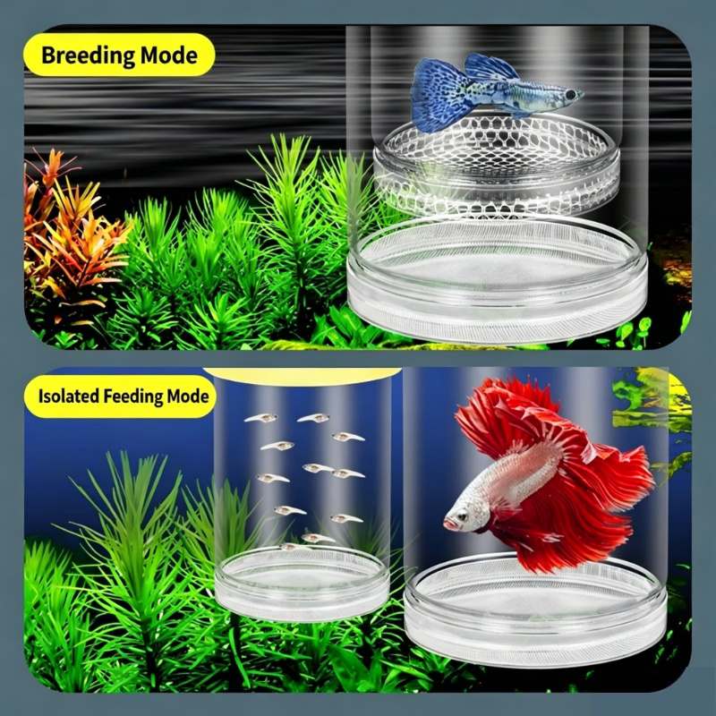 Transparente Schwimmende Aquar – Aquarium Fish Cave Bewertung und Preis