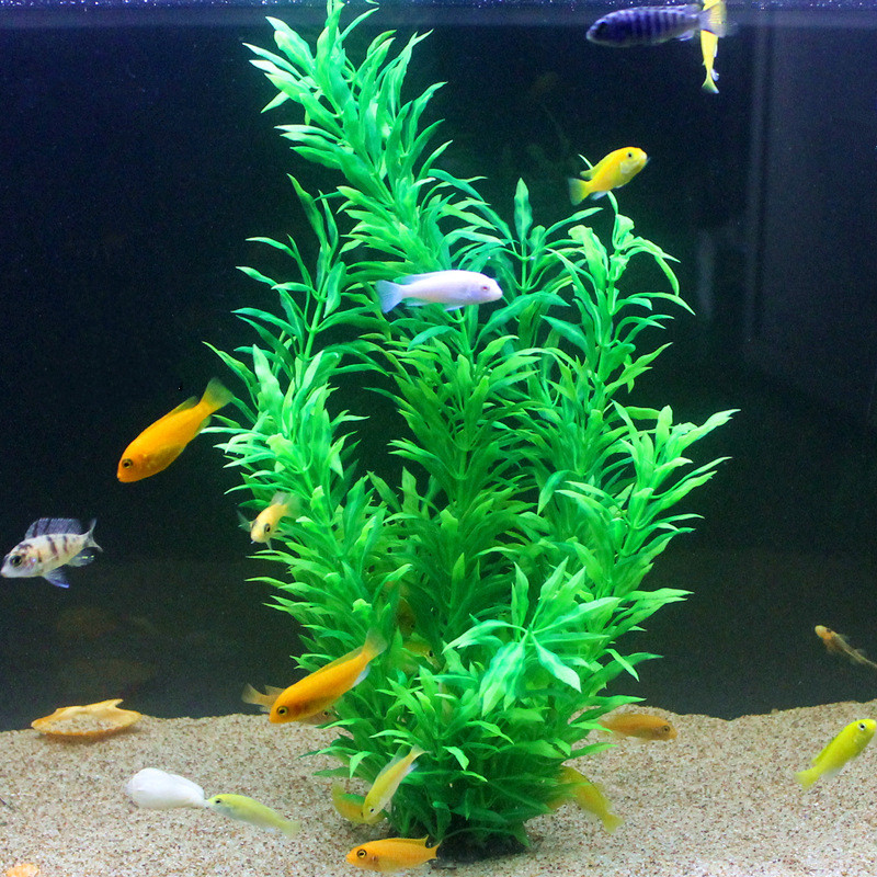 50CM Künstliche Aquarium Selte – Aquarium Fish Land Bewertung und Preis